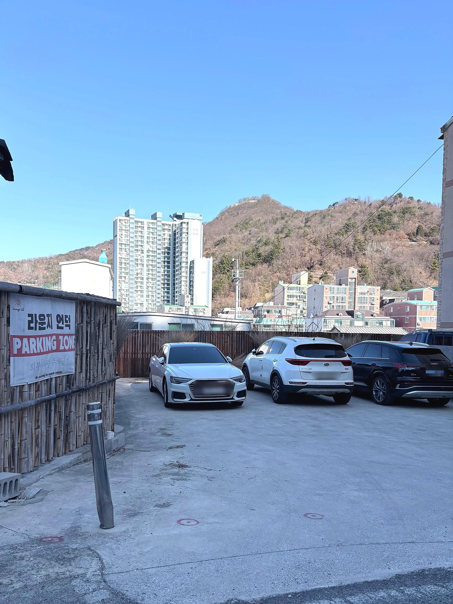 매장 앞 주차 공간 — 차량 여러 대가 세워진 모습
